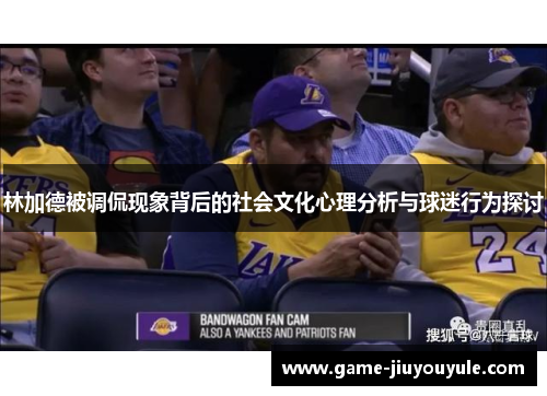 林加德被调侃现象背后的社会文化心理分析与球迷行为探讨
